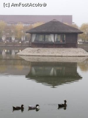 [P20] Ratuste motate pe lac. » foto by Flory100
 - 
<span class="allrVoted glyphicon glyphicon-heart hidden" id="av1203967"></span>
<a class="m-l-10 hidden" id="sv1203967" onclick="voting_Foto_DelVot(,1203967,13316)" role="button">șterge vot <span class="glyphicon glyphicon-remove"></span></a>
<a id="v91203967" class=" c-red"  onclick="voting_Foto_SetVot(1203967)" role="button"><span class="glyphicon glyphicon-heart-empty"></span> <b>LIKE</b> = Votează poza</a> <img class="hidden"  id="f1203967W9" src="/imagini/loader.gif" border="0" /><span class="AjErrMes hidden" id="e1203967ErM"></span>