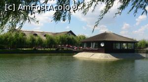 [P17] Foișorul de pe lac; pe fundal, acoperișul de stuf » foto by crismis
 - 
<span class="allrVoted glyphicon glyphicon-heart hidden" id="av766269"></span>
<a class="m-l-10 hidden" id="sv766269" onclick="voting_Foto_DelVot(,766269,13316)" role="button">șterge vot <span class="glyphicon glyphicon-remove"></span></a>
<a id="v9766269" class=" c-red"  onclick="voting_Foto_SetVot(766269)" role="button"><span class="glyphicon glyphicon-heart-empty"></span> <b>LIKE</b> = Votează poza</a> <img class="hidden"  id="f766269W9" src="/imagini/loader.gif" border="0" /><span class="AjErrMes hidden" id="e766269ErM"></span>