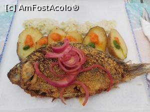 [P08] Carasul de jumătate de kg, cu cartofi copți, ceapă murată si varză Savoy. Varza nu m-a dat pe spate, ceapa și cartofii DA!=35 lei » foto by Zoazore
 - 
<span class="allrVoted glyphicon glyphicon-heart hidden" id="av1198271"></span>
<a class="m-l-10 hidden" id="sv1198271" onclick="voting_Foto_DelVot(,1198271,13316)" role="button">șterge vot <span class="glyphicon glyphicon-remove"></span></a>
<a id="v91198271" class=" c-red"  onclick="voting_Foto_SetVot(1198271)" role="button"><span class="glyphicon glyphicon-heart-empty"></span> <b>LIKE</b> = Votează poza</a> <img class="hidden"  id="f1198271W9" src="/imagini/loader.gif" border="0" /><span class="AjErrMes hidden" id="e1198271ErM"></span>