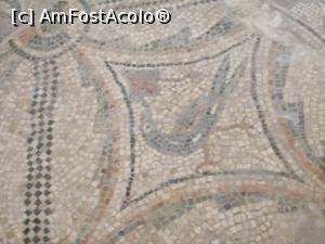 [P19] Mozaic în Cripta Rasponi, atât cât se poate vede prin stratul de apă.  » foto by mihaelavoicu
 - 
<span class="allrVoted glyphicon glyphicon-heart hidden" id="av971276"></span>
<a class="m-l-10 hidden" id="sv971276" onclick="voting_Foto_DelVot(,971276,13338)" role="button">șterge vot <span class="glyphicon glyphicon-remove"></span></a>
<a id="v9971276" class=" c-red"  onclick="voting_Foto_SetVot(971276)" role="button"><span class="glyphicon glyphicon-heart-empty"></span> <b>LIKE</b> = Votează poza</a> <img class="hidden"  id="f971276W9" src="/imagini/loader.gif" border="0" /><span class="AjErrMes hidden" id="e971276ErM"></span>