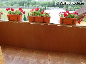 [P19] Pensiunea ”Floare de crin” - balconul camerei noastre » foto by mariana.olaru
 - 
<span class="allrVoted glyphicon glyphicon-heart hidden" id="av391311"></span>
<a class="m-l-10 hidden" id="sv391311" onclick="voting_Foto_DelVot(,391311,13351)" role="button">șterge vot <span class="glyphicon glyphicon-remove"></span></a>
<a id="v9391311" class=" c-red"  onclick="voting_Foto_SetVot(391311)" role="button"><span class="glyphicon glyphicon-heart-empty"></span> <b>LIKE</b> = Votează poza</a> <img class="hidden"  id="f391311W9" src="/imagini/loader.gif" border="0" /><span class="AjErrMes hidden" id="e391311ErM"></span>