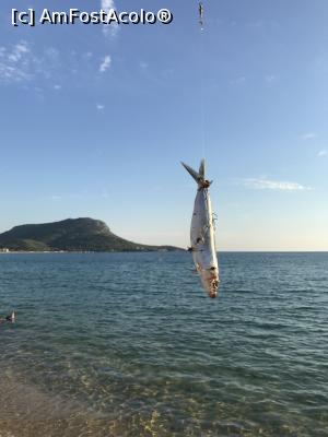 [P17] Asta e momeala din undița unui grec, pe plaja Toroni, lângă turiști » foto by krisstinna
 - 
<span class="allrVoted glyphicon glyphicon-heart hidden" id="av1021481"></span>
<a class="m-l-10 hidden" id="sv1021481" onclick="voting_Foto_DelVot(,1021481,13381)" role="button">șterge vot <span class="glyphicon glyphicon-remove"></span></a>
<a id="v91021481" class=" c-red"  onclick="voting_Foto_SetVot(1021481)" role="button"><span class="glyphicon glyphicon-heart-empty"></span> <b>LIKE</b> = Votează poza</a> <img class="hidden"  id="f1021481W9" src="/imagini/loader.gif" border="0" /><span class="AjErrMes hidden" id="e1021481ErM"></span>