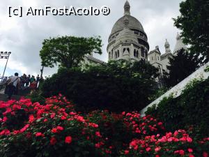 [P21] Paris și o mare de flori....Pentru voi! » foto by sunflower
 - 
<span class="allrVoted glyphicon glyphicon-heart hidden" id="av887648"></span>
<a class="m-l-10 hidden" id="sv887648" onclick="voting_Foto_DelVot(,887648,13383)" role="button">șterge vot <span class="glyphicon glyphicon-remove"></span></a>
<a id="v9887648" class=" c-red"  onclick="voting_Foto_SetVot(887648)" role="button"><span class="glyphicon glyphicon-heart-empty"></span> <b>LIKE</b> = Votează poza</a> <img class="hidden"  id="f887648W9" src="/imagini/loader.gif" border="0" /><span class="AjErrMes hidden" id="e887648ErM"></span>
