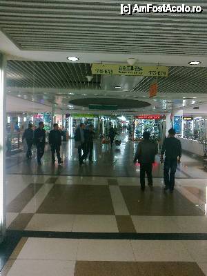 [P19] Pe ,,strazile'' mega -mollu-rilor... (Futian)  » foto by Marian Preda
 - 
<span class="allrVoted glyphicon glyphicon-heart hidden" id="av392449"></span>
<a class="m-l-10 hidden" id="sv392449" onclick="voting_Foto_DelVot(,392449,13390)" role="button">șterge vot <span class="glyphicon glyphicon-remove"></span></a>
<a id="v9392449" class=" c-red"  onclick="voting_Foto_SetVot(392449)" role="button"><span class="glyphicon glyphicon-heart-empty"></span> <b>LIKE</b> = Votează poza</a> <img class="hidden"  id="f392449W9" src="/imagini/loader.gif" border="0" /><span class="AjErrMes hidden" id="e392449ErM"></span>