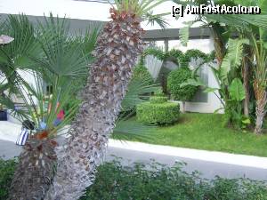 [P10] Villa Orchidea - Colt de cladire si o parte din 'Orchidea Garden'. Plante tunse in stil englezesc.  » foto by iulianic
 - 
<span class="allrVoted glyphicon glyphicon-heart hidden" id="av392559"></span>
<a class="m-l-10 hidden" id="sv392559" onclick="voting_Foto_DelVot(,392559,13394)" role="button">șterge vot <span class="glyphicon glyphicon-remove"></span></a>
<a id="v9392559" class=" c-red"  onclick="voting_Foto_SetVot(392559)" role="button"><span class="glyphicon glyphicon-heart-empty"></span> <b>LIKE</b> = Votează poza</a> <img class="hidden"  id="f392559W9" src="/imagini/loader.gif" border="0" /><span class="AjErrMes hidden" id="e392559ErM"></span>