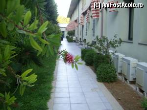 [P12] Villa Orchidea - Aleea care trecea si prin fata camerei mele.  » foto by iulianic
 - 
<span class="allrVoted glyphicon glyphicon-heart hidden" id="av392561"></span>
<a class="m-l-10 hidden" id="sv392561" onclick="voting_Foto_DelVot(,392561,13394)" role="button">șterge vot <span class="glyphicon glyphicon-remove"></span></a>
<a id="v9392561" class=" c-red"  onclick="voting_Foto_SetVot(392561)" role="button"><span class="glyphicon glyphicon-heart-empty"></span> <b>LIKE</b> = Votează poza</a> <img class="hidden"  id="f392561W9" src="/imagini/loader.gif" border="0" /><span class="AjErrMes hidden" id="e392561ErM"></span>