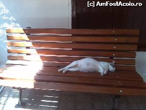 [P03] siesta de dupa amiaza » foto by Cesere
 - 
<span class="allrVoted glyphicon glyphicon-heart hidden" id="av527503"></span>
<a class="m-l-10 hidden" id="sv527503" onclick="voting_Foto_DelVot(,527503,13411)" role="button">șterge vot <span class="glyphicon glyphicon-remove"></span></a>
<a id="v9527503" class=" c-red"  onclick="voting_Foto_SetVot(527503)" role="button"><span class="glyphicon glyphicon-heart-empty"></span> <b>LIKE</b> = Votează poza</a> <img class="hidden"  id="f527503W9" src="/imagini/loader.gif" border="0" /><span class="AjErrMes hidden" id="e527503ErM"></span>
