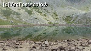 [P09] Am mai tras un cadru rapid înainte să vină un nou val de ceață » foto by iuliaen
 - 
<span class="allrVoted glyphicon glyphicon-heart hidden" id="av839143"></span>
<a class="m-l-10 hidden" id="sv839143" onclick="voting_Foto_DelVot(,839143,13472)" role="button">șterge vot <span class="glyphicon glyphicon-remove"></span></a>
<a id="v9839143" class=" c-red"  onclick="voting_Foto_SetVot(839143)" role="button"><span class="glyphicon glyphicon-heart-empty"></span> <b>LIKE</b> = Votează poza</a> <img class="hidden"  id="f839143W9" src="/imagini/loader.gif" border="0" /><span class="AjErrMes hidden" id="e839143ErM"></span>