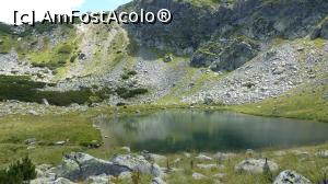 [P16] Tot Lacul Vidal, din altă perspectivă » foto by iuliaen
 - 
<span class="allrVoted glyphicon glyphicon-heart hidden" id="av841314"></span>
<a class="m-l-10 hidden" id="sv841314" onclick="voting_Foto_DelVot(,841314,13472)" role="button">șterge vot <span class="glyphicon glyphicon-remove"></span></a>
<a id="v9841314" class=" c-red"  onclick="voting_Foto_SetVot(841314)" role="button"><span class="glyphicon glyphicon-heart-empty"></span> <b>LIKE</b> = Votează poza</a> <img class="hidden"  id="f841314W9" src="/imagini/loader.gif" border="0" /><span class="AjErrMes hidden" id="e841314ErM"></span>