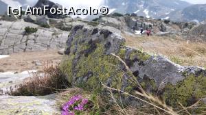 [P24]  -- <small>// FĂRĂ DESCRIERE</small> » foto by noi doi
 - 
<span class="allrVoted glyphicon glyphicon-heart hidden" id="av860705"></span>
<a class="m-l-10 hidden" id="sv860705" onclick="voting_Foto_DelVot(,860705,13472)" role="button">șterge vot <span class="glyphicon glyphicon-remove"></span></a>
<a id="v9860705" class=" c-red"  onclick="voting_Foto_SetVot(860705)" role="button"><span class="glyphicon glyphicon-heart-empty"></span> <b>LIKE</b> = Votează poza</a> <img class="hidden"  id="f860705W9" src="/imagini/loader.gif" border="0" /><span class="AjErrMes hidden" id="e860705ErM"></span>