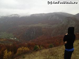 [P02] Peisaj deosebit, in apropierea pesterii Huda lui Papara » foto by Sabina1985
 - 
<span class="allrVoted glyphicon glyphicon-heart hidden" id="av570043"></span>
<a class="m-l-10 hidden" id="sv570043" onclick="voting_Foto_DelVot(,570043,13483)" role="button">șterge vot <span class="glyphicon glyphicon-remove"></span></a>
<a id="v9570043" class=" c-red"  onclick="voting_Foto_SetVot(570043)" role="button"><span class="glyphicon glyphicon-heart-empty"></span> <b>LIKE</b> = Votează poza</a> <img class="hidden"  id="f570043W9" src="/imagini/loader.gif" border="0" /><span class="AjErrMes hidden" id="e570043ErM"></span>