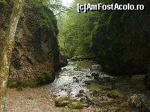 [P11]  -- <small>// FĂRĂ DESCRIERE</small> » foto by IonutVLad*
 - 
<span class="allrVoted glyphicon glyphicon-heart hidden" id="av147589"></span>
<a class="m-l-10 hidden" id="sv147589" onclick="voting_Foto_DelVot(,147589,13484)" role="button">șterge vot <span class="glyphicon glyphicon-remove"></span></a>
<a id="v9147589" class=" c-red"  onclick="voting_Foto_SetVot(147589)" role="button"><span class="glyphicon glyphicon-heart-empty"></span> <b>LIKE</b> = Votează poza</a> <img class="hidden"  id="f147589W9" src="/imagini/loader.gif" border="0" /><span class="AjErrMes hidden" id="e147589ErM"></span>