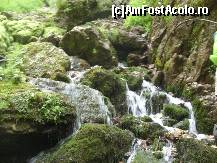 [P13]  -- <small>// FĂRĂ DESCRIERE</small> » foto by IonutVLad*
 - 
<span class="allrVoted glyphicon glyphicon-heart hidden" id="av147592"></span>
<a class="m-l-10 hidden" id="sv147592" onclick="voting_Foto_DelVot(,147592,13484)" role="button">șterge vot <span class="glyphicon glyphicon-remove"></span></a>
<a id="v9147592" class=" c-red"  onclick="voting_Foto_SetVot(147592)" role="button"><span class="glyphicon glyphicon-heart-empty"></span> <b>LIKE</b> = Votează poza</a> <img class="hidden"  id="f147592W9" src="/imagini/loader.gif" border="0" /><span class="AjErrMes hidden" id="e147592ErM"></span>