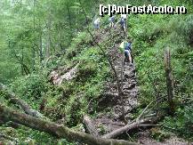 [P15]  -- <small>// FĂRĂ DESCRIERE</small> » foto by IonutVLad*
 - 
<span class="allrVoted glyphicon glyphicon-heart hidden" id="av147594"></span>
<a class="m-l-10 hidden" id="sv147594" onclick="voting_Foto_DelVot(,147594,13484)" role="button">șterge vot <span class="glyphicon glyphicon-remove"></span></a>
<a id="v9147594" class=" c-red"  onclick="voting_Foto_SetVot(147594)" role="button"><span class="glyphicon glyphicon-heart-empty"></span> <b>LIKE</b> = Votează poza</a> <img class="hidden"  id="f147594W9" src="/imagini/loader.gif" border="0" /><span class="AjErrMes hidden" id="e147594ErM"></span>