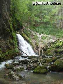 [P02]  -- <small>// FĂRĂ DESCRIERE</small> » foto by IonutVLad*
 - 
<span class="allrVoted glyphicon glyphicon-heart hidden" id="av147578"></span>
<a class="m-l-10 hidden" id="sv147578" onclick="voting_Foto_DelVot(,147578,13484)" role="button">șterge vot <span class="glyphicon glyphicon-remove"></span></a>
<a id="v9147578" class=" c-red"  onclick="voting_Foto_SetVot(147578)" role="button"><span class="glyphicon glyphicon-heart-empty"></span> <b>LIKE</b> = Votează poza</a> <img class="hidden"  id="f147578W9" src="/imagini/loader.gif" border="0" /><span class="AjErrMes hidden" id="e147578ErM"></span>