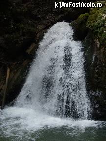 [P03]  -- <small>// FĂRĂ DESCRIERE</small> » foto by IonutVLad*
 - 
<span class="allrVoted glyphicon glyphicon-heart hidden" id="av147579"></span>
<a class="m-l-10 hidden" id="sv147579" onclick="voting_Foto_DelVot(,147579,13484)" role="button">șterge vot <span class="glyphicon glyphicon-remove"></span></a>
<a id="v9147579" class=" c-red"  onclick="voting_Foto_SetVot(147579)" role="button"><span class="glyphicon glyphicon-heart-empty"></span> <b>LIKE</b> = Votează poza</a> <img class="hidden"  id="f147579W9" src="/imagini/loader.gif" border="0" /><span class="AjErrMes hidden" id="e147579ErM"></span>