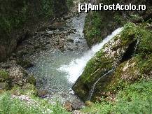 [P04]  -- <small>// FĂRĂ DESCRIERE</small> » foto by IonutVLad*
 - 
<span class="allrVoted glyphicon glyphicon-heart hidden" id="av147580"></span>
<a class="m-l-10 hidden" id="sv147580" onclick="voting_Foto_DelVot(,147580,13484)" role="button">șterge vot <span class="glyphicon glyphicon-remove"></span></a>
<a id="v9147580" class=" c-red"  onclick="voting_Foto_SetVot(147580)" role="button"><span class="glyphicon glyphicon-heart-empty"></span> <b>LIKE</b> = Votează poza</a> <img class="hidden"  id="f147580W9" src="/imagini/loader.gif" border="0" /><span class="AjErrMes hidden" id="e147580ErM"></span>