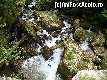 [P05]  -- <small>// FĂRĂ DESCRIERE</small> » foto by IonutVLad*
 - 
<span class="allrVoted glyphicon glyphicon-heart hidden" id="av147581"></span>
<a class="m-l-10 hidden" id="sv147581" onclick="voting_Foto_DelVot(,147581,13484)" role="button">șterge vot <span class="glyphicon glyphicon-remove"></span></a>
<a id="v9147581" class=" c-red"  onclick="voting_Foto_SetVot(147581)" role="button"><span class="glyphicon glyphicon-heart-empty"></span> <b>LIKE</b> = Votează poza</a> <img class="hidden"  id="f147581W9" src="/imagini/loader.gif" border="0" /><span class="AjErrMes hidden" id="e147581ErM"></span>