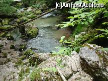 [P06]  -- <small>// FĂRĂ DESCRIERE</small> » foto by IonutVLad*
 - 
<span class="allrVoted glyphicon glyphicon-heart hidden" id="av147582"></span>
<a class="m-l-10 hidden" id="sv147582" onclick="voting_Foto_DelVot(,147582,13484)" role="button">șterge vot <span class="glyphicon glyphicon-remove"></span></a>
<a id="v9147582" class=" c-red"  onclick="voting_Foto_SetVot(147582)" role="button"><span class="glyphicon glyphicon-heart-empty"></span> <b>LIKE</b> = Votează poza</a> <img class="hidden"  id="f147582W9" src="/imagini/loader.gif" border="0" /><span class="AjErrMes hidden" id="e147582ErM"></span>