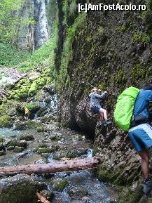 [P07]  -- <small>// FĂRĂ DESCRIERE</small> » foto by IonutVLad*
 - 
<span class="allrVoted glyphicon glyphicon-heart hidden" id="av147583"></span>
<a class="m-l-10 hidden" id="sv147583" onclick="voting_Foto_DelVot(,147583,13484)" role="button">șterge vot <span class="glyphicon glyphicon-remove"></span></a>
<a id="v9147583" class=" c-red"  onclick="voting_Foto_SetVot(147583)" role="button"><span class="glyphicon glyphicon-heart-empty"></span> <b>LIKE</b> = Votează poza</a> <img class="hidden"  id="f147583W9" src="/imagini/loader.gif" border="0" /><span class="AjErrMes hidden" id="e147583ErM"></span>