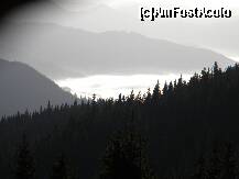 [P01] Marea alpina pe drumul de urcare. » foto by cronung
 - 
<span class="allrVoted glyphicon glyphicon-heart hidden" id="av162209"></span>
<a class="m-l-10 hidden" id="sv162209" onclick="voting_Foto_DelVot(,162209,13504)" role="button">șterge vot <span class="glyphicon glyphicon-remove"></span></a>
<a id="v9162209" class=" c-red"  onclick="voting_Foto_SetVot(162209)" role="button"><span class="glyphicon glyphicon-heart-empty"></span> <b>LIKE</b> = Votează poza</a> <img class="hidden"  id="f162209W9" src="/imagini/loader.gif" border="0" /><span class="AjErrMes hidden" id="e162209ErM"></span>