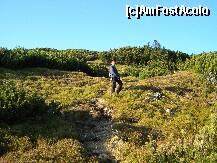 [P10] Francesca . » foto by cronung
 - 
<span class="allrVoted glyphicon glyphicon-heart hidden" id="av162238"></span>
<a class="m-l-10 hidden" id="sv162238" onclick="voting_Foto_DelVot(,162238,13504)" role="button">șterge vot <span class="glyphicon glyphicon-remove"></span></a>
<a id="v9162238" class=" c-red"  onclick="voting_Foto_SetVot(162238)" role="button"><span class="glyphicon glyphicon-heart-empty"></span> <b>LIKE</b> = Votează poza</a> <img class="hidden"  id="f162238W9" src="/imagini/loader.gif" border="0" /><span class="AjErrMes hidden" id="e162238ErM"></span>