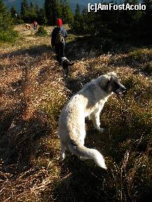 [P20] Doi prieteni intalniti pe drum . ( dar nu toti sunt neaparat prietenosi ) » foto by cronung
 - 
<span class="allrVoted glyphicon glyphicon-heart hidden" id="av162264"></span>
<a class="m-l-10 hidden" id="sv162264" onclick="voting_Foto_DelVot(,162264,13504)" role="button">șterge vot <span class="glyphicon glyphicon-remove"></span></a>
<a id="v9162264" class=" c-red"  onclick="voting_Foto_SetVot(162264)" role="button"><span class="glyphicon glyphicon-heart-empty"></span> <b>LIKE</b> = Votează poza</a> <img class="hidden"  id="f162264W9" src="/imagini/loader.gif" border="0" /><span class="AjErrMes hidden" id="e162264ErM"></span>