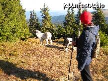 [P21] Aceiasi doi prieteni . » foto by cronung
 - 
<span class="allrVoted glyphicon glyphicon-heart hidden" id="av162269"></span>
<a class="m-l-10 hidden" id="sv162269" onclick="voting_Foto_DelVot(,162269,13504)" role="button">șterge vot <span class="glyphicon glyphicon-remove"></span></a>
<a id="v9162269" class=" c-red"  onclick="voting_Foto_SetVot(162269)" role="button"><span class="glyphicon glyphicon-heart-empty"></span> <b>LIKE</b> = Votează poza</a> <img class="hidden"  id="f162269W9" src="/imagini/loader.gif" border="0" /><span class="AjErrMes hidden" id="e162269ErM"></span>