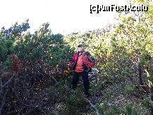 [P03] Subsemnatul cu spor mare la urcat . » foto by cronung
 - 
<span class="allrVoted glyphicon glyphicon-heart hidden" id="av162217"></span>
<a class="m-l-10 hidden" id="sv162217" onclick="voting_Foto_DelVot(,162217,13504)" role="button">șterge vot <span class="glyphicon glyphicon-remove"></span></a>
<a id="v9162217" class=" c-red"  onclick="voting_Foto_SetVot(162217)" role="button"><span class="glyphicon glyphicon-heart-empty"></span> <b>LIKE</b> = Votează poza</a> <img class="hidden"  id="f162217W9" src="/imagini/loader.gif" border="0" /><span class="AjErrMes hidden" id="e162217ErM"></span>