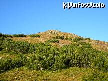 [P05] Ne apropiem de varf ( dar nu este asta ) . » foto by cronung
 - 
<span class="allrVoted glyphicon glyphicon-heart hidden" id="av162223"></span>
<a class="m-l-10 hidden" id="sv162223" onclick="voting_Foto_DelVot(,162223,13504)" role="button">șterge vot <span class="glyphicon glyphicon-remove"></span></a>
<a id="v9162223" class=" c-red"  onclick="voting_Foto_SetVot(162223)" role="button"><span class="glyphicon glyphicon-heart-empty"></span> <b>LIKE</b> = Votează poza</a> <img class="hidden"  id="f162223W9" src="/imagini/loader.gif" border="0" /><span class="AjErrMes hidden" id="e162223ErM"></span>