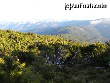 [P07] In departare creasta pe care am urcat . » foto by cronung
 - 
<span class="allrVoted glyphicon glyphicon-heart hidden" id="av162229"></span>
<a class="m-l-10 hidden" id="sv162229" onclick="voting_Foto_DelVot(,162229,13504)" role="button">șterge vot <span class="glyphicon glyphicon-remove"></span></a>
<a id="v9162229" class=" c-red"  onclick="voting_Foto_SetVot(162229)" role="button"><span class="glyphicon glyphicon-heart-empty"></span> <b>LIKE</b> = Votează poza</a> <img class="hidden"  id="f162229W9" src="/imagini/loader.gif" border="0" /><span class="AjErrMes hidden" id="e162229ErM"></span>