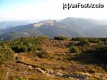 [P09] Chiar in fata Raraul . » foto by cronung
 - 
<span class="allrVoted glyphicon glyphicon-heart hidden" id="av162236"></span>
<a class="m-l-10 hidden" id="sv162236" onclick="voting_Foto_DelVot(,162236,13504)" role="button">șterge vot <span class="glyphicon glyphicon-remove"></span></a>
<a id="v9162236" class=" c-red"  onclick="voting_Foto_SetVot(162236)" role="button"><span class="glyphicon glyphicon-heart-empty"></span> <b>LIKE</b> = Votează poza</a> <img class="hidden"  id="f162236W9" src="/imagini/loader.gif" border="0" /><span class="AjErrMes hidden" id="e162236ErM"></span>