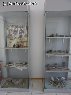 [P02] Sala 1: neo-eneoliticul - Cernavodă.  » foto by tata123 🔱
 - 
<span class="allrVoted glyphicon glyphicon-heart hidden" id="av1113822"></span>
<a class="m-l-10 hidden" id="sv1113822" onclick="voting_Foto_DelVot(,1113822,13516)" role="button">șterge vot <span class="glyphicon glyphicon-remove"></span></a>
<a id="v91113822" class=" c-red"  onclick="voting_Foto_SetVot(1113822)" role="button"><span class="glyphicon glyphicon-heart-empty"></span> <b>LIKE</b> = Votează poza</a> <img class="hidden"  id="f1113822W9" src="/imagini/loader.gif" border="0" /><span class="AjErrMes hidden" id="e1113822ErM"></span>