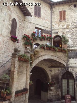 [P13] Assisi: un hotel ”înecat” în ghivece.  » foto by Carmen Ion
 - 
<span class="allrVoted glyphicon glyphicon-heart hidden" id="av983447"></span>
<a class="m-l-10 hidden" id="sv983447" onclick="voting_Foto_DelVot(,983447,13517)" role="button">șterge vot <span class="glyphicon glyphicon-remove"></span></a>
<a id="v9983447" class=" c-red"  onclick="voting_Foto_SetVot(983447)" role="button"><span class="glyphicon glyphicon-heart-empty"></span> <b>LIKE</b> = Votează poza</a> <img class="hidden"  id="f983447W9" src="/imagini/loader.gif" border="0" /><span class="AjErrMes hidden" id="e983447ErM"></span>