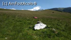 [P56]  -- <small>// FĂRĂ DESCRIERE</small> » foto by elenaadina
 - 
<span class="allrVoted glyphicon glyphicon-heart hidden" id="av1421272"></span>
<a class="m-l-10 hidden" id="sv1421272" onclick="voting_Foto_DelVot(,1421272,13519)" role="button">șterge vot <span class="glyphicon glyphicon-remove"></span></a>
<a id="v91421272" class=" c-red"  onclick="voting_Foto_SetVot(1421272)" role="button"><span class="glyphicon glyphicon-heart-empty"></span> <b>LIKE</b> = Votează poza</a> <img class="hidden"  id="f1421272W9" src="/imagini/loader.gif" border="0" /><span class="AjErrMes hidden" id="e1421272ErM"></span>