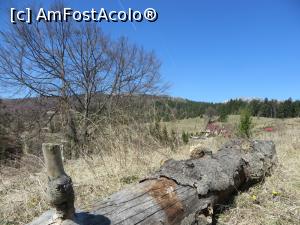 [P16] Peisaj la Cota 1000.  » foto by tata123 🔱
 - 
<span class="allrVoted glyphicon glyphicon-heart hidden" id="av846452"></span>
<a class="m-l-10 hidden" id="sv846452" onclick="voting_Foto_DelVot(,846452,13519)" role="button">șterge vot <span class="glyphicon glyphicon-remove"></span></a>
<a id="v9846452" class=" c-red"  onclick="voting_Foto_SetVot(846452)" role="button"><span class="glyphicon glyphicon-heart-empty"></span> <b>LIKE</b> = Votează poza</a> <img class="hidden"  id="f846452W9" src="/imagini/loader.gif" border="0" /><span class="AjErrMes hidden" id="e846452ErM"></span>