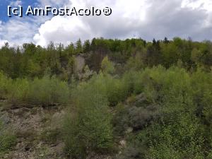 [P27] Natura în straie de primăvară pe Valea Milcovului.  » foto by Floryn81
 - 
<span class="allrVoted glyphicon glyphicon-heart hidden" id="av1071532"></span>
<a class="m-l-10 hidden" id="sv1071532" onclick="voting_Foto_DelVot(,1071532,13521)" role="button">șterge vot <span class="glyphicon glyphicon-remove"></span></a>
<a id="v91071532" class=" c-red"  onclick="voting_Foto_SetVot(1071532)" role="button"><span class="glyphicon glyphicon-heart-empty"></span> <b>LIKE</b> = Votează poza</a> <img class="hidden"  id="f1071532W9" src="/imagini/loader.gif" border="0" /><span class="AjErrMes hidden" id="e1071532ErM"></span>