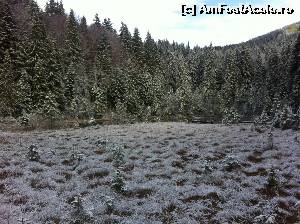[P10] Turbăria activă ce înconjură Lacul Negru » foto by Yersinia Pestis
 - 
<span class="allrVoted glyphicon glyphicon-heart hidden" id="av569153"></span>
<a class="m-l-10 hidden" id="sv569153" onclick="voting_Foto_DelVot(,569153,13521)" role="button">șterge vot <span class="glyphicon glyphicon-remove"></span></a>
<a id="v9569153" class=" c-red"  onclick="voting_Foto_SetVot(569153)" role="button"><span class="glyphicon glyphicon-heart-empty"></span> <b>LIKE</b> = Votează poza</a> <img class="hidden"  id="f569153W9" src="/imagini/loader.gif" border="0" /><span class="AjErrMes hidden" id="e569153ErM"></span>