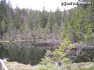 [P11] Lacul Negru » foto by Yersinia Pestis
 - 
<span class="allrVoted glyphicon glyphicon-heart hidden" id="av579103"></span>
<a class="m-l-10 hidden" id="sv579103" onclick="voting_Foto_DelVot(,579103,13521)" role="button">șterge vot <span class="glyphicon glyphicon-remove"></span></a>
<a id="v9579103" class=" c-red"  onclick="voting_Foto_SetVot(579103)" role="button"><span class="glyphicon glyphicon-heart-empty"></span> <b>LIKE</b> = Votează poza</a> <img class="hidden"  id="f579103W9" src="/imagini/loader.gif" border="0" /><span class="AjErrMes hidden" id="e579103ErM"></span>