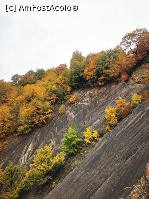 [P07] Straturi de roci  in Strâmtura Cozei » foto by Mika
 - 
<span class="allrVoted glyphicon glyphicon-heart hidden" id="av1263098"></span>
<a class="m-l-10 hidden" id="sv1263098" onclick="voting_Foto_DelVot(,1263098,13521)" role="button">șterge vot <span class="glyphicon glyphicon-remove"></span></a>
<a id="v91263098" class=" c-red"  onclick="voting_Foto_SetVot(1263098)" role="button"><span class="glyphicon glyphicon-heart-empty"></span> <b>LIKE</b> = Votează poza</a> <img class="hidden"  id="f1263098W9" src="/imagini/loader.gif" border="0" /><span class="AjErrMes hidden" id="e1263098ErM"></span>