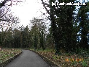 [P03] Malahide Castle, alta alee din apropierea castelului.  » foto by Diaura*
 - 
<span class="allrVoted glyphicon glyphicon-heart hidden" id="av397718"></span>
<a class="m-l-10 hidden" id="sv397718" onclick="voting_Foto_DelVot(,397718,13555)" role="button">șterge vot <span class="glyphicon glyphicon-remove"></span></a>
<a id="v9397718" class=" c-red"  onclick="voting_Foto_SetVot(397718)" role="button"><span class="glyphicon glyphicon-heart-empty"></span> <b>LIKE</b> = Votează poza</a> <img class="hidden"  id="f397718W9" src="/imagini/loader.gif" border="0" /><span class="AjErrMes hidden" id="e397718ErM"></span>