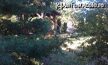 [P05] Foisorul din padurice, fata vilei Family Paulic Slunj (Cvitovic) Croatia » foto by traian.leuca †
 - 
<span class="allrVoted glyphicon glyphicon-heart hidden" id="av398326"></span>
<a class="m-l-10 hidden" id="sv398326" onclick="voting_Foto_DelVot(,398326,13562)" role="button">șterge vot <span class="glyphicon glyphicon-remove"></span></a>
<a id="v9398326" class=" c-red"  onclick="voting_Foto_SetVot(398326)" role="button"><span class="glyphicon glyphicon-heart-empty"></span> <b>LIKE</b> = Votează poza</a> <img class="hidden"  id="f398326W9" src="/imagini/loader.gif" border="0" /><span class="AjErrMes hidden" id="e398326ErM"></span>