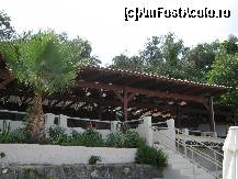 [P04] Restaurantul de pe plajă » foto by sosso
 - 
<span class="allrVoted glyphicon glyphicon-heart hidden" id="av410481"></span>
<a class="m-l-10 hidden" id="sv410481" onclick="voting_Foto_DelVot(,410481,13584)" role="button">șterge vot <span class="glyphicon glyphicon-remove"></span></a>
<a id="v9410481" class=" c-red"  onclick="voting_Foto_SetVot(410481)" role="button"><span class="glyphicon glyphicon-heart-empty"></span> <b>LIKE</b> = Votează poza</a> <img class="hidden"  id="f410481W9" src="/imagini/loader.gif" border="0" /><span class="AjErrMes hidden" id="e410481ErM"></span>