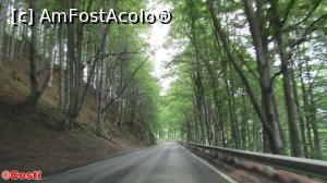 [P07] De la Montana, prin munți spre Sofia, undeva după Barzia » foto by Costi
 - 
<span class="allrVoted glyphicon glyphicon-heart hidden" id="av865450"></span>
<a class="m-l-10 hidden" id="sv865450" onclick="voting_Foto_DelVot(,865450,13602)" role="button">șterge vot <span class="glyphicon glyphicon-remove"></span></a>
<a id="v9865450" class=" c-red"  onclick="voting_Foto_SetVot(865450)" role="button"><span class="glyphicon glyphicon-heart-empty"></span> <b>LIKE</b> = Votează poza</a> <img class="hidden"  id="f865450W9" src="/imagini/loader.gif" border="0" /><span class="AjErrMes hidden" id="e865450ErM"></span>