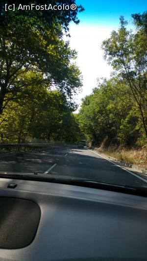 [P04] Traseu munti Bulgaria » foto by corina.
 - 
<span class="allrVoted glyphicon glyphicon-heart hidden" id="av900490"></span>
<a class="m-l-10 hidden" id="sv900490" onclick="voting_Foto_DelVot(,900490,13602)" role="button">șterge vot <span class="glyphicon glyphicon-remove"></span></a>
<a id="v9900490" class=" c-red"  onclick="voting_Foto_SetVot(900490)" role="button"><span class="glyphicon glyphicon-heart-empty"></span> <b>LIKE</b> = Votează poza</a> <img class="hidden"  id="f900490W9" src="/imagini/loader.gif" border="0" /><span class="AjErrMes hidden" id="e900490ErM"></span>