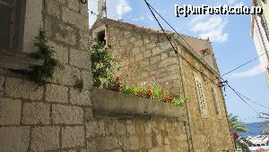 [P13] Căscăm gura prin vechea Korcula » foto by crismis
 - 
<span class="allrVoted glyphicon glyphicon-heart hidden" id="av677247"></span>
<a class="m-l-10 hidden" id="sv677247" onclick="voting_Foto_DelVot(,677247,13614)" role="button">șterge vot <span class="glyphicon glyphicon-remove"></span></a>
<a id="v9677247" class=" c-red"  onclick="voting_Foto_SetVot(677247)" role="button"><span class="glyphicon glyphicon-heart-empty"></span> <b>LIKE</b> = Votează poza</a> <img class="hidden"  id="f677247W9" src="/imagini/loader.gif" border="0" /><span class="AjErrMes hidden" id="e677247ErM"></span>
