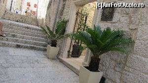 [P58] Căscăm gura prin vechea Korcula » foto by crismis
 - 
<span class="allrVoted glyphicon glyphicon-heart hidden" id="av677292"></span>
<a class="m-l-10 hidden" id="sv677292" onclick="voting_Foto_DelVot(,677292,13614)" role="button">șterge vot <span class="glyphicon glyphicon-remove"></span></a>
<a id="v9677292" class=" c-red"  onclick="voting_Foto_SetVot(677292)" role="button"><span class="glyphicon glyphicon-heart-empty"></span> <b>LIKE</b> = Votează poza</a> <img class="hidden"  id="f677292W9" src="/imagini/loader.gif" border="0" /><span class="AjErrMes hidden" id="e677292ErM"></span>