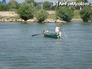 [P24] La bordul navei de croazieră ”Delta II” consimțim că uneori viața e nedreaptă: în timp ce unii muncesc, alții... se plimbă!  :)  » foto by mariana.olaru
 - 
<span class="allrVoted glyphicon glyphicon-heart hidden" id="av400779"></span>
<a class="m-l-10 hidden" id="sv400779" onclick="voting_Foto_DelVot(,400779,13626)" role="button">șterge vot <span class="glyphicon glyphicon-remove"></span></a>
<a id="v9400779" class=" c-red"  onclick="voting_Foto_SetVot(400779)" role="button"><span class="glyphicon glyphicon-heart-empty"></span> <b>LIKE</b> = Votează poza</a> <img class="hidden"  id="f400779W9" src="/imagini/loader.gif" border="0" /><span class="AjErrMes hidden" id="e400779ErM"></span>