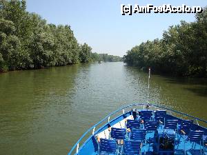 [P31] Peisaj surprins în timpul croazierei în Delta Dunării, de la bordul navei ”Delta II” » foto by mariana.olaru
 - 
<span class="allrVoted glyphicon glyphicon-heart hidden" id="av400786"></span>
<a class="m-l-10 hidden" id="sv400786" onclick="voting_Foto_DelVot(,400786,13626)" role="button">șterge vot <span class="glyphicon glyphicon-remove"></span></a>
<a id="v9400786" class=" c-red"  onclick="voting_Foto_SetVot(400786)" role="button"><span class="glyphicon glyphicon-heart-empty"></span> <b>LIKE</b> = Votează poza</a> <img class="hidden"  id="f400786W9" src="/imagini/loader.gif" border="0" /><span class="AjErrMes hidden" id="e400786ErM"></span>