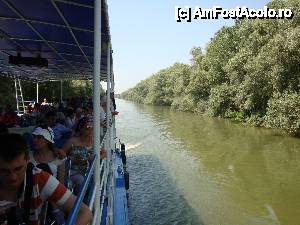 [P36] Peisaj surprins în timpul croazierei în Delta Dunării, de la bordul navei ”Delta II” » foto by mariana.olaru
 - 
<span class="allrVoted glyphicon glyphicon-heart hidden" id="av400791"></span>
<a class="m-l-10 hidden" id="sv400791" onclick="voting_Foto_DelVot(,400791,13626)" role="button">șterge vot <span class="glyphicon glyphicon-remove"></span></a>
<a id="v9400791" class=" c-red"  onclick="voting_Foto_SetVot(400791)" role="button"><span class="glyphicon glyphicon-heart-empty"></span> <b>LIKE</b> = Votează poza</a> <img class="hidden"  id="f400791W9" src="/imagini/loader.gif" border="0" /><span class="AjErrMes hidden" id="e400791ErM"></span>